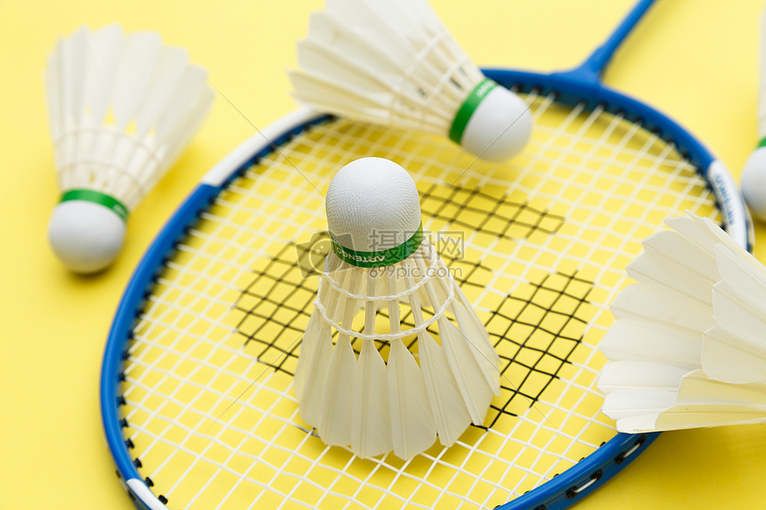 薪金规则 薪金规则