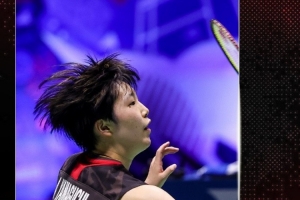 这不仅展示 这不仅展示