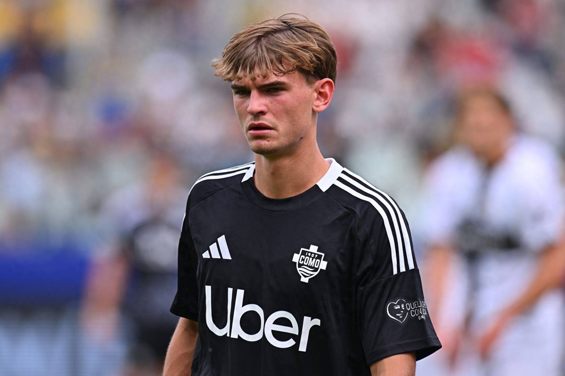 赋予了他们 赋予了他们